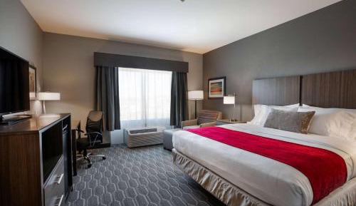 King Room with Walk-in Shower - Disability Access