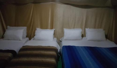 Standard Tent (4 Adults)