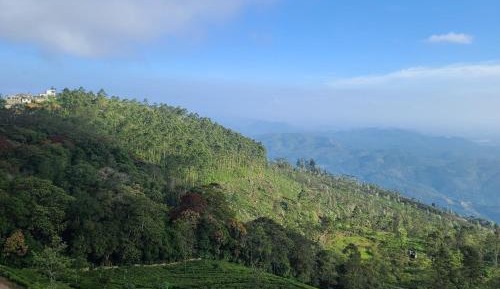 Double Room with Mountain View