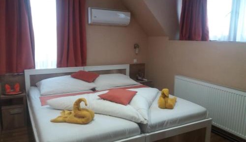 Superior Double or Twin Room - Hotel