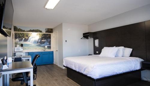 Eco Delight: King Bed, Non-Smoking