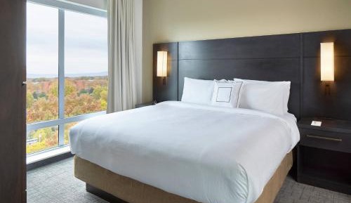 1 Bedroom Suite, 1 King, Sofa bed