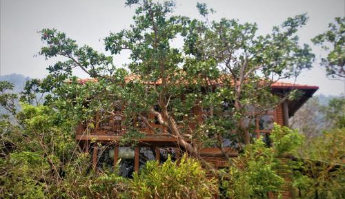 Family Bungalow