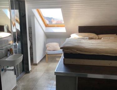 Budget Single Room