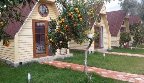 Deluxe Bungalow