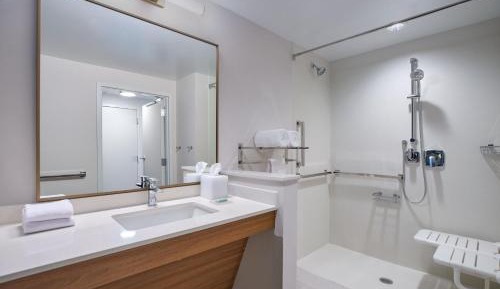 1 Bedroom Executive Suite, 1 King, Sofa bed (Mobility Accessible w/ Roll-in Shower)