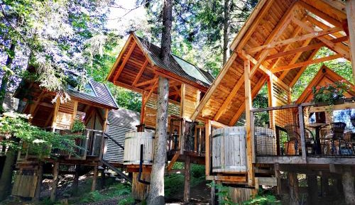 Tree House with Wooden Tub