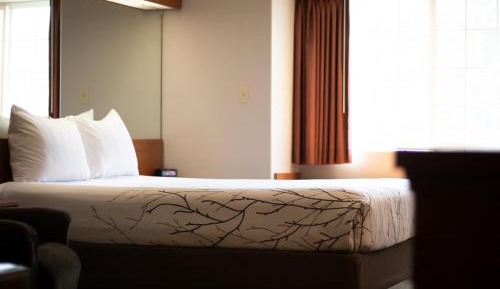 Queen Suite