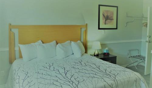 King Room Pet Friendly