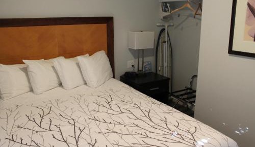 Queen Bedroom Suite Pet Friendly