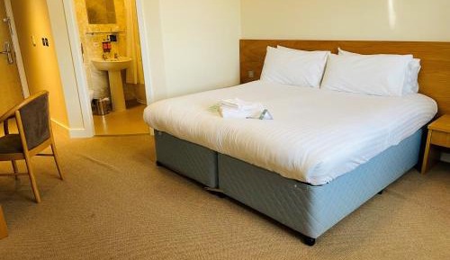Standard King Room