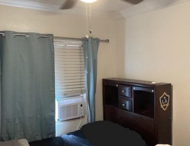 Budget Single Room