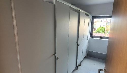 Bunk Bed in Mixed Dormitory Room
