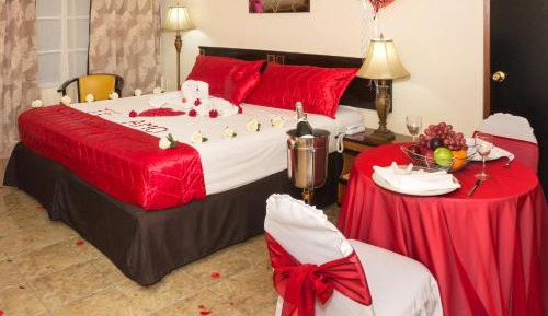 Superior Double or Twin Room