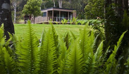 One-Bedroom Cottage
