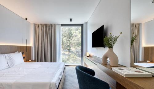 Superior Double Room Hill View