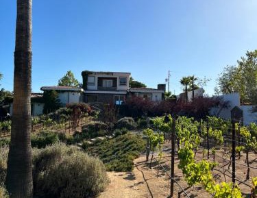 Villa with Garden View