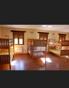 Bunk Bed in Mixed Dormitory Room