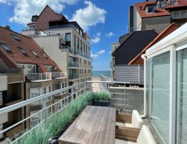 Penthouse Apartment