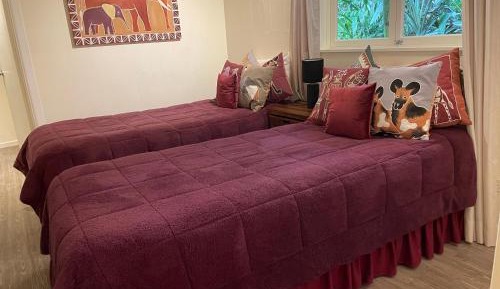 Deluxe Twin Room - Zimbabwean