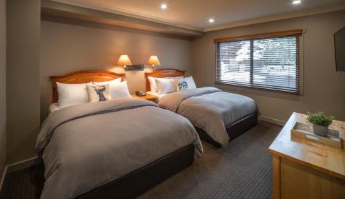 Buffalo 2 Queen beds Suite