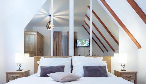Deluxe Double or Twin Room with River View