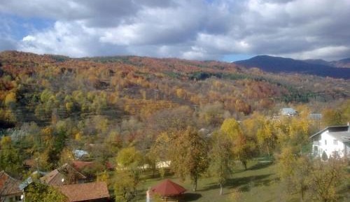 Two-Bedroom Apartment with Mountain View