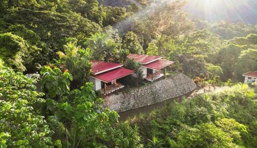 Jungle and Partial Ocean View Villa
