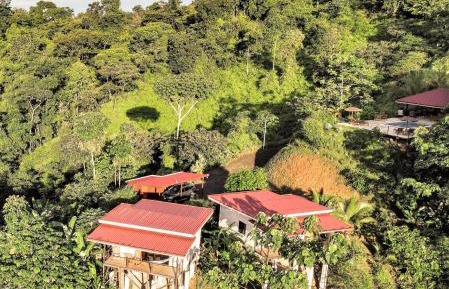 Jungle and Mountain View Villa