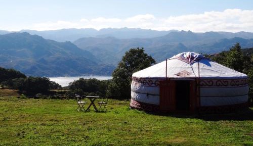 Yurt
