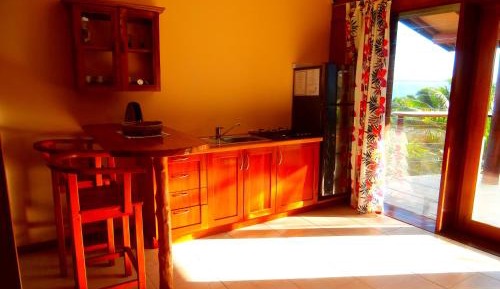 Deluxe One-Bedroom Apartment
