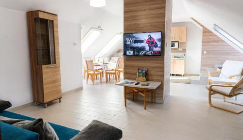 Apartment with Terrace