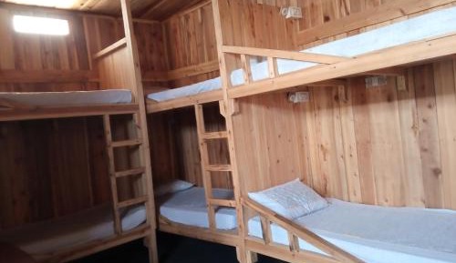 Bed in 8-Bed Mixed Dormitory Room