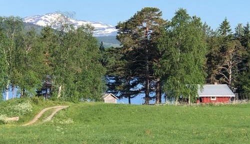 Holiday Home