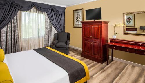 AVANI Suite