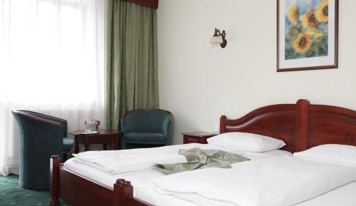 Superior Double or Twin Room