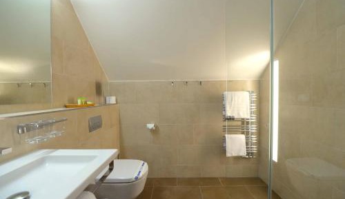 Single Room with Lake View
