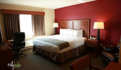 Premier King Suite - Non-Smoking