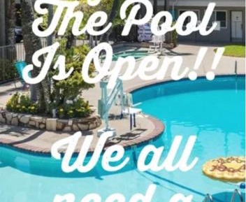 Room with Two Beds Pool View 