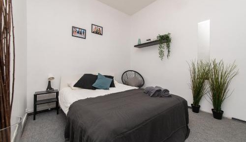 Double Room without Window with Shared Bathroom