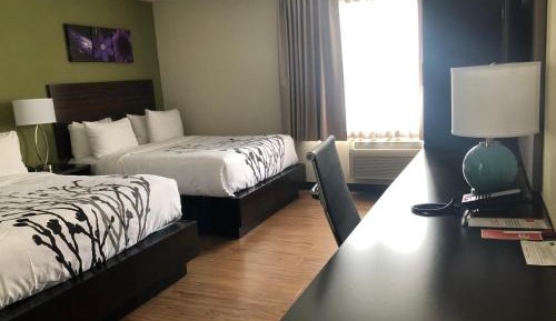 Double Queen Room