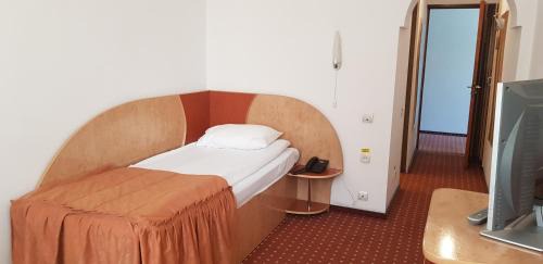 Standard Single Room with Mountain View