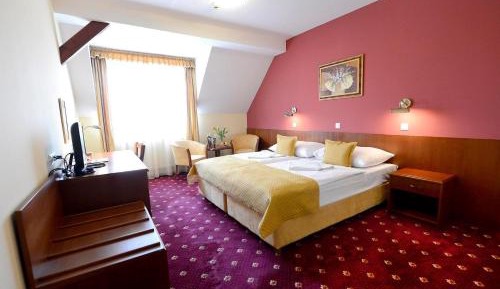 Business Double Room