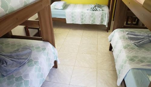 Bunk Bed in Mixed Dormitory Room