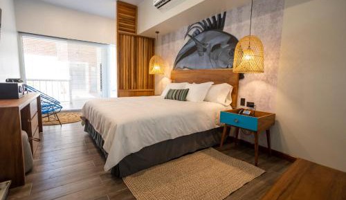 King Room