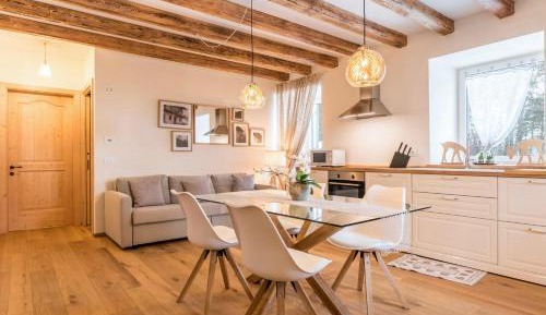 Superior One-Bedroom Apartment with Balcony