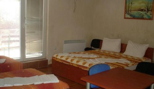 Studio (4 Adults)