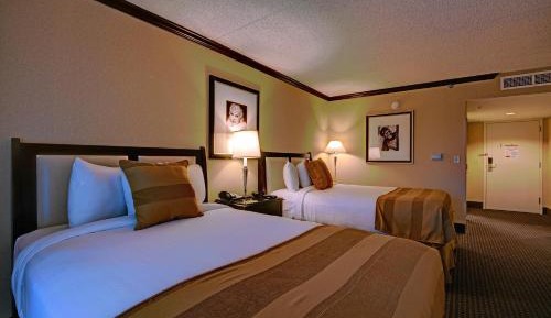 Double Room with Two Double Beds