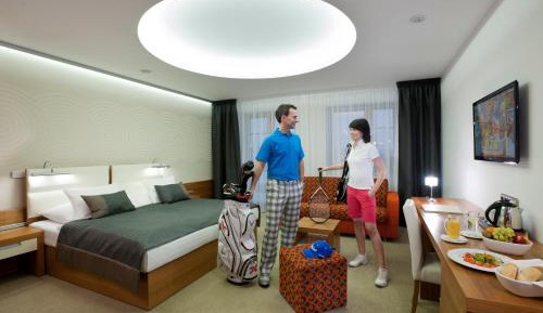 Double or Twin Room with Mountain View