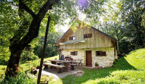 Apartment with Shower